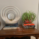 Image for article titled All the Shit I Bought to Live Alone and Love It